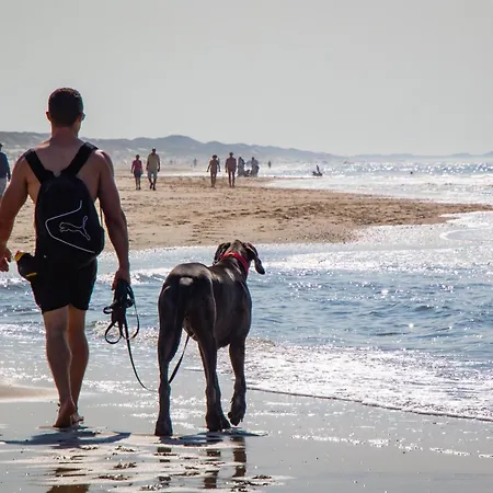 Albatros 51 Tatil Evi *