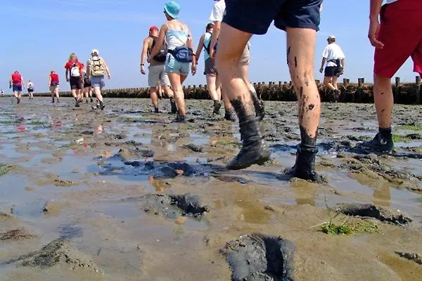 Дом отдыха Albatros 51 *