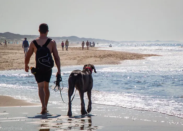 Albatros 51 Feriehus *