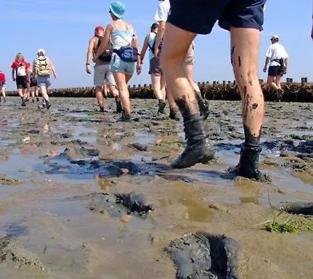 Prázdninový dům Albatros 51 *