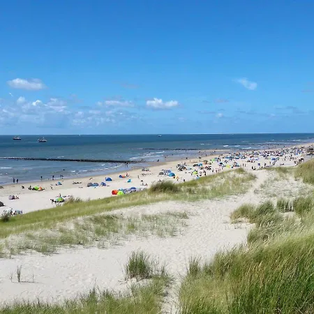 Albatros 51 * Julianadorp