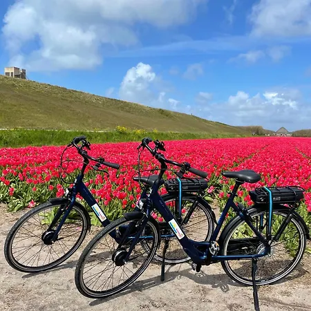 Semesterbostad Albatros 51 *