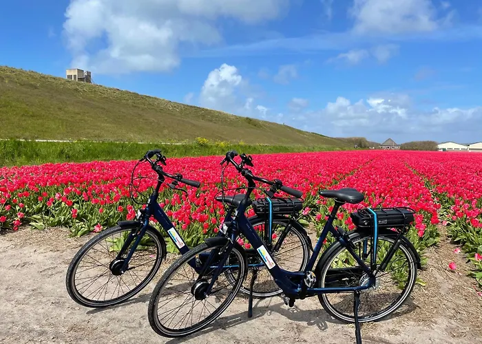 Semesterbostad Albatros 51 *